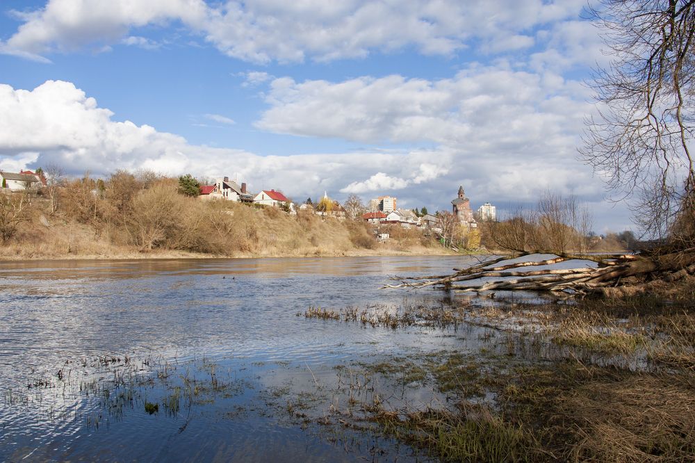 С левого берега Немана.
