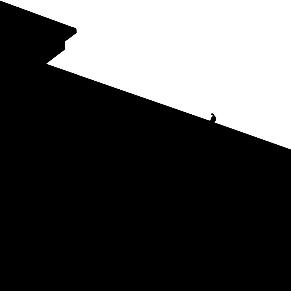 Photograph by Asahi Chinen