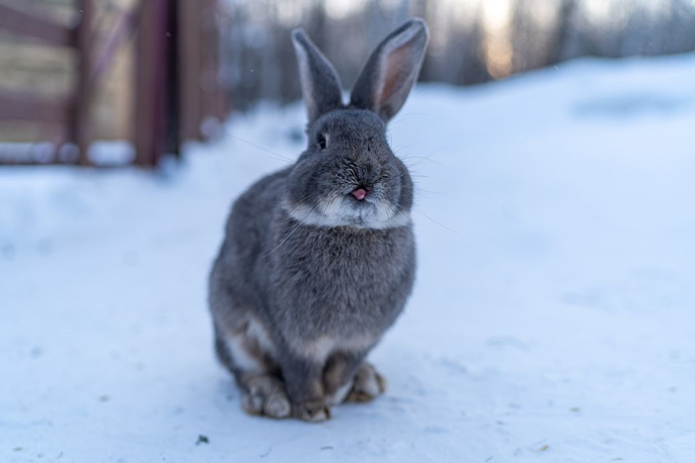 Photograph by Андрей Шишлов