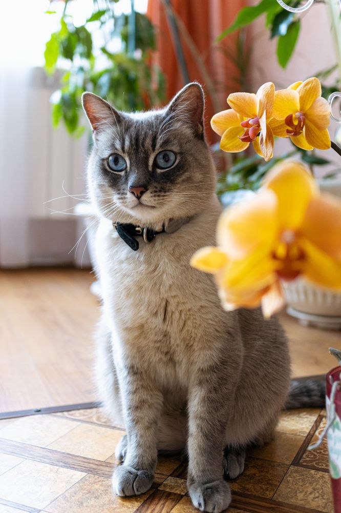 Photograph by Алексей Ольшевский