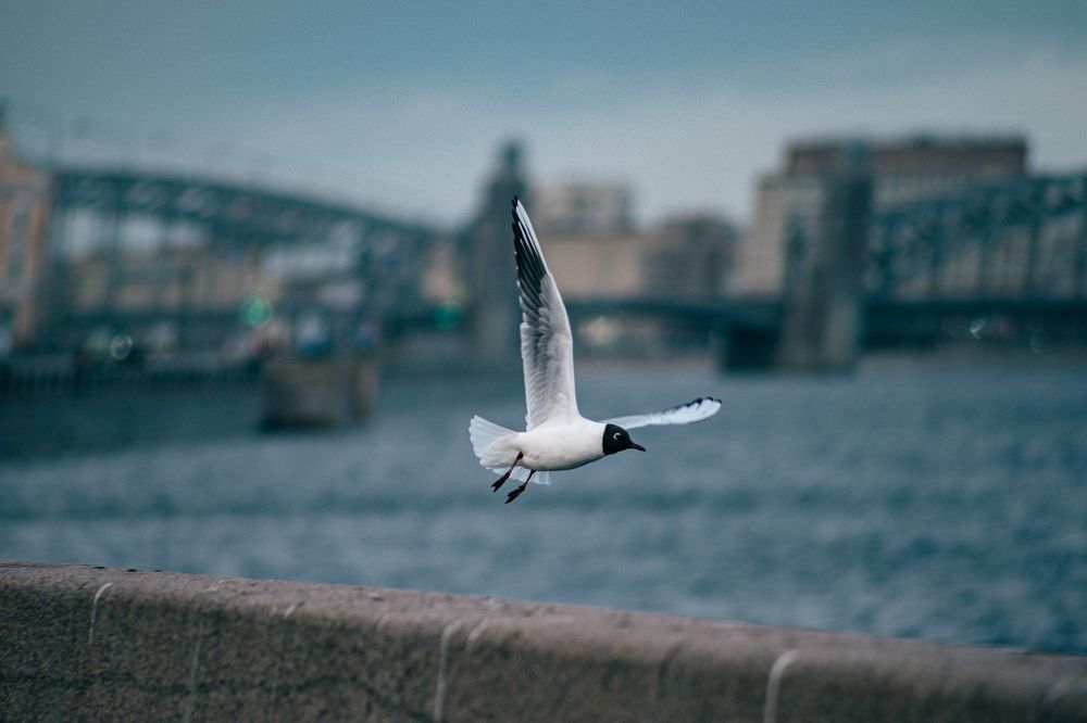 Photograph by Андрей Шишлов