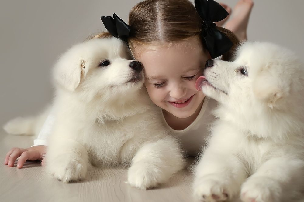 Фотография автора Любовь Белугина