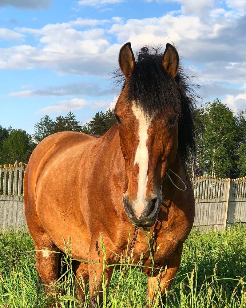 Photograph by Лариса Акинчиц