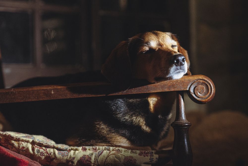 Photograph by Запылаева Анна