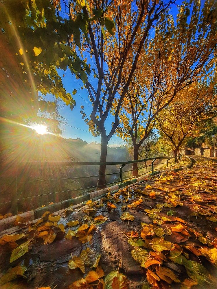 Photograph by amin mirzaei