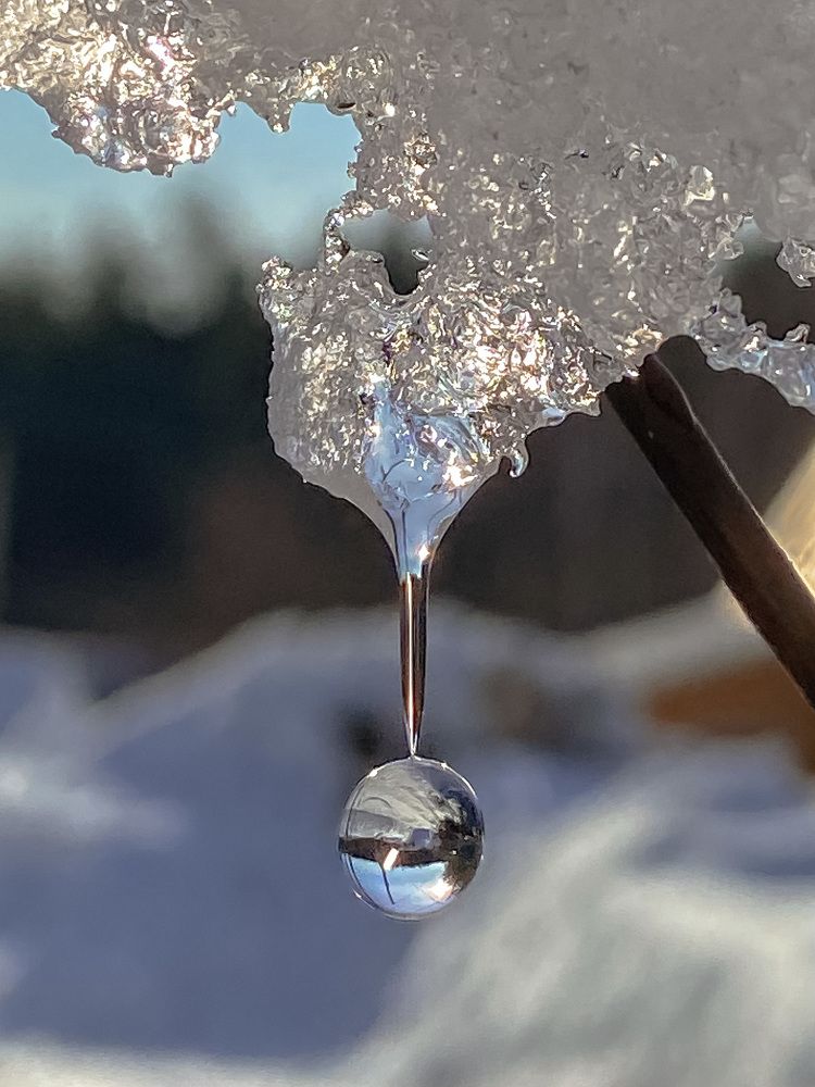 Весенняя капель