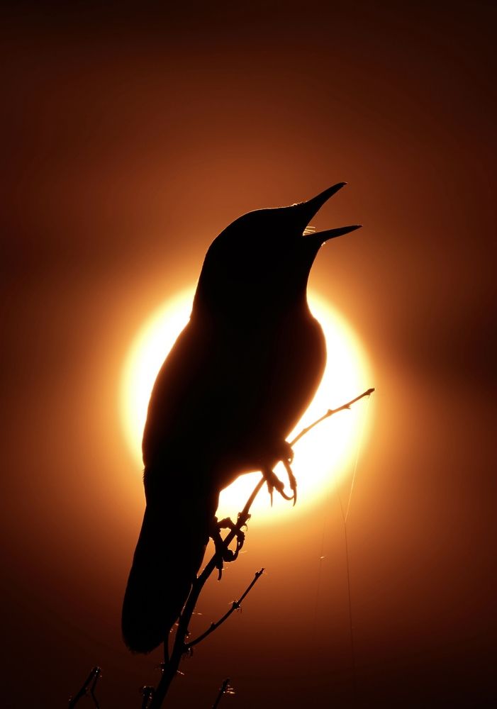 Photograph by Руслан Кириллин