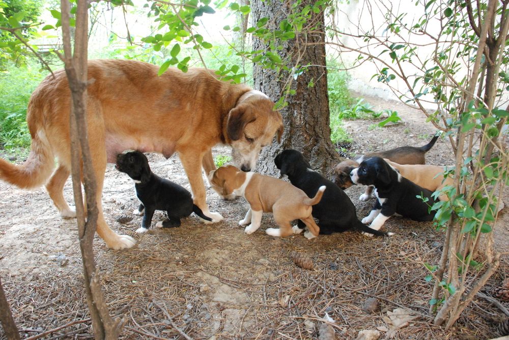 Photograph by Jasminka Nadaškić