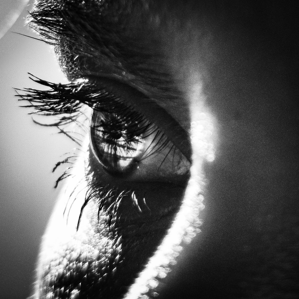Photograph by Сергей Фурсов