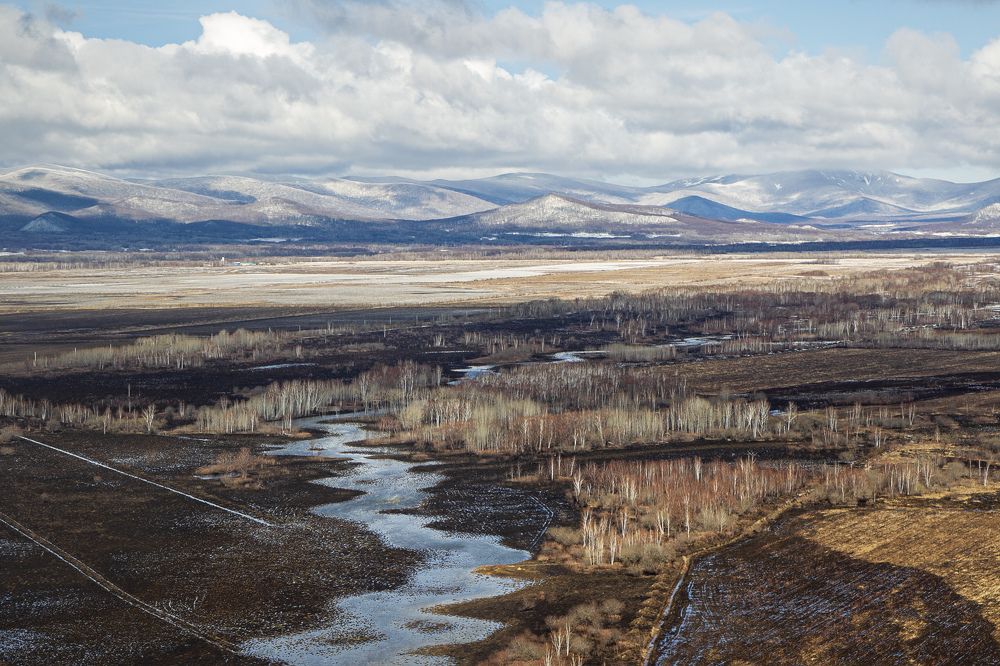 Photograph by Александр Филимоненко