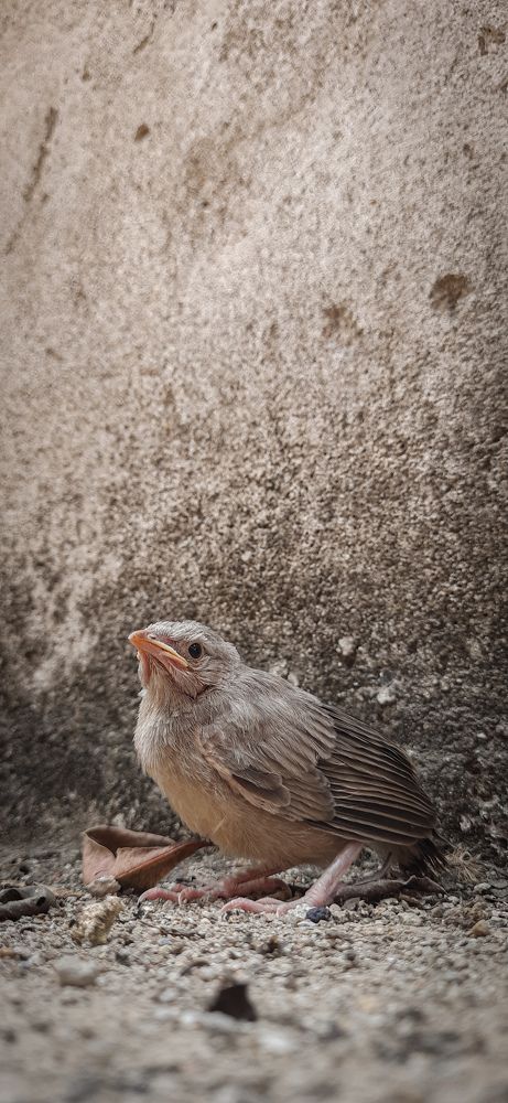 Photograph by Hemanth Reddy Devireddy