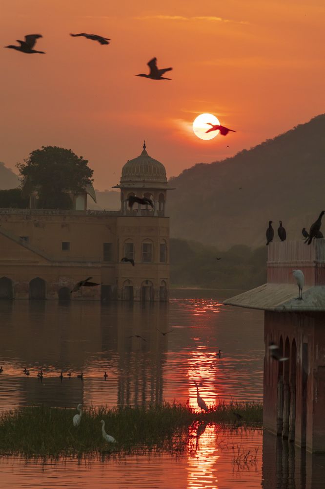 Photograph by Bhupendra Bagla