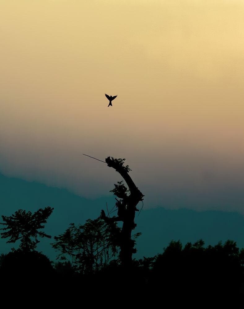 Enjoy your own company