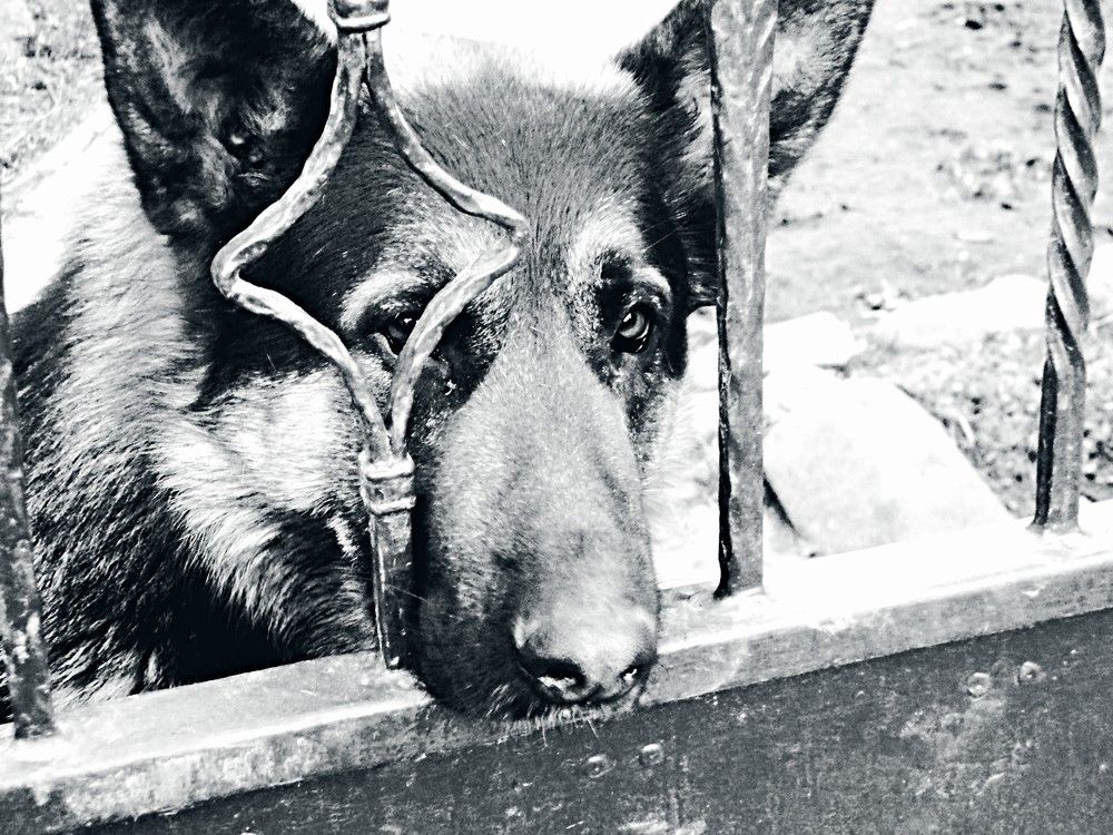 Photograph by Сергей Рапопорт