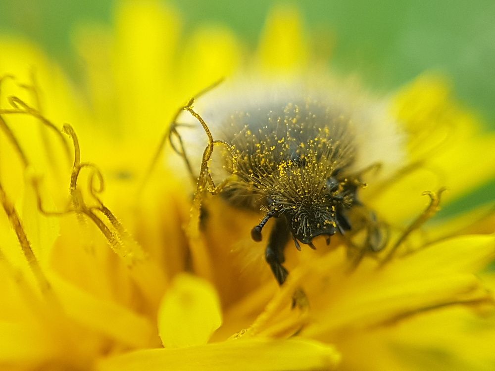 Photograph by Александр Леонов