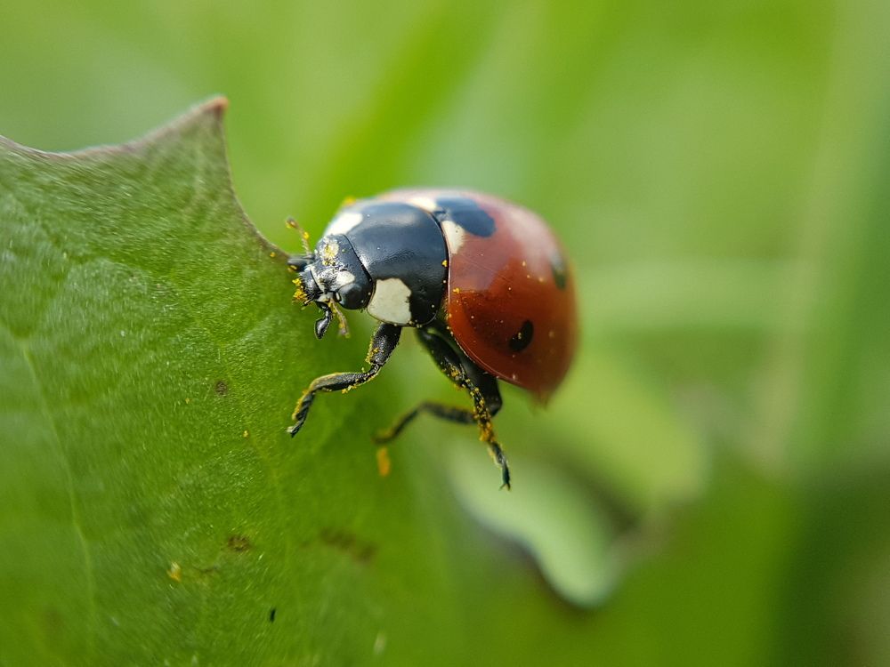 Photograph by Александр Леонов