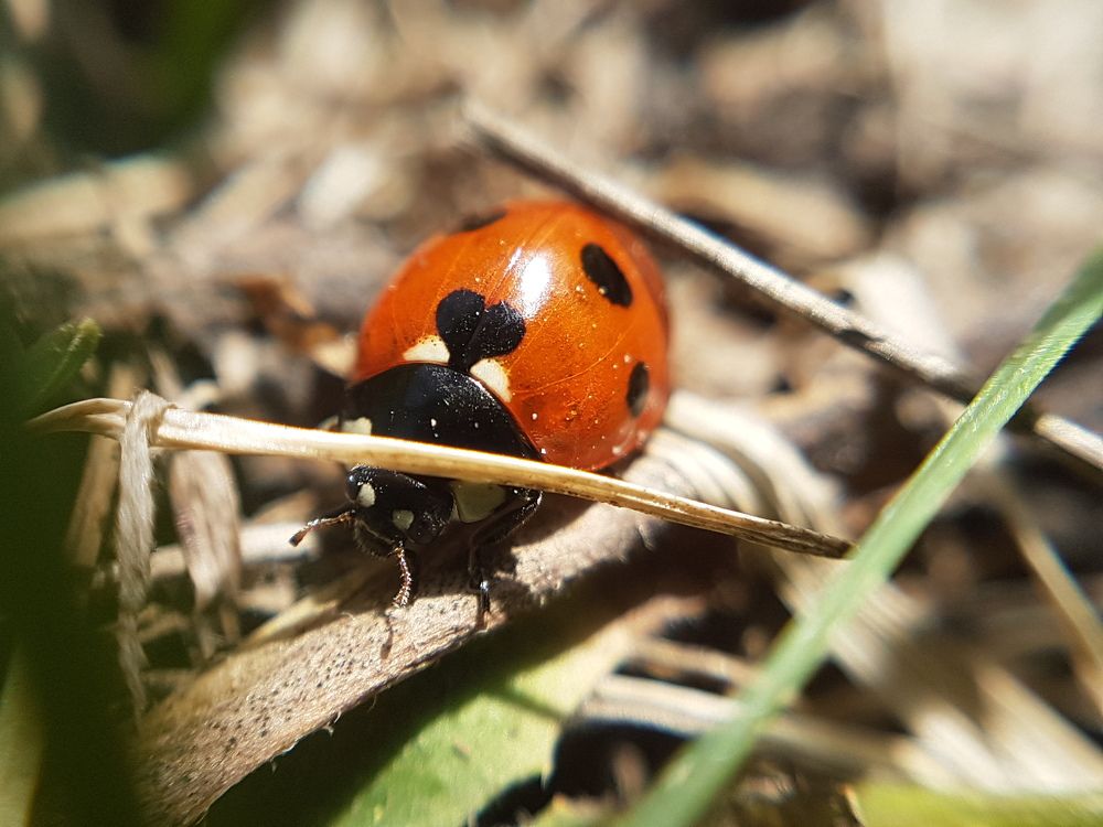 Photograph by Александр Леонов