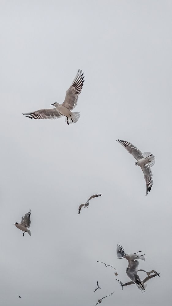 Photograph by Евгения Шевчук
