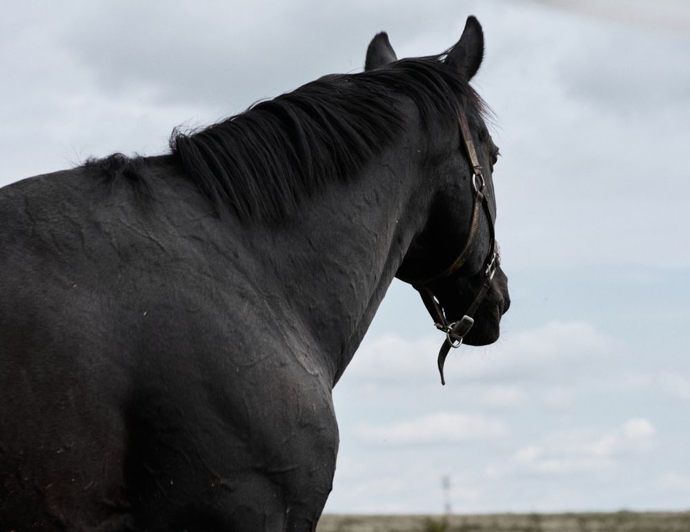 Photograph by Евгения Сигутина