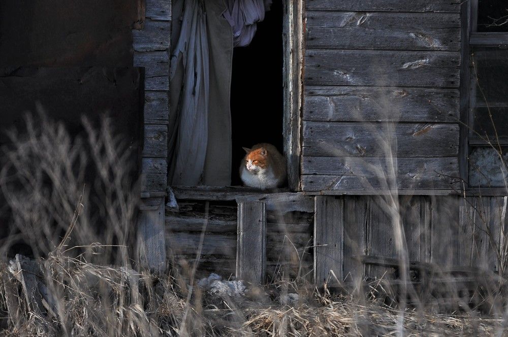 Photograph by Лариса Стрекулева