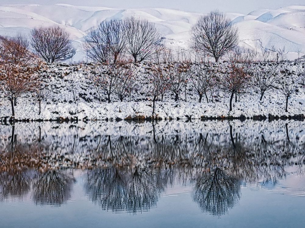 Photograph by Oleg Guchgeldiev