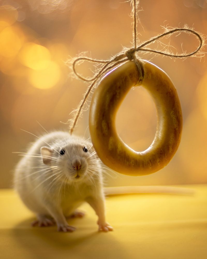 Photograph by Valentina Suvorova