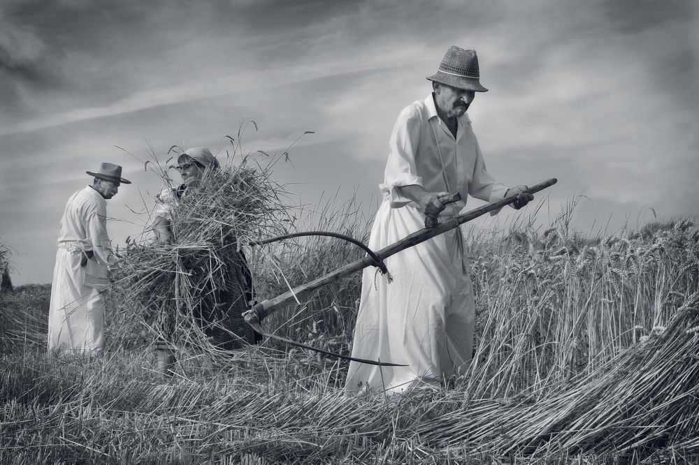 Photograph by Gizela Halászová