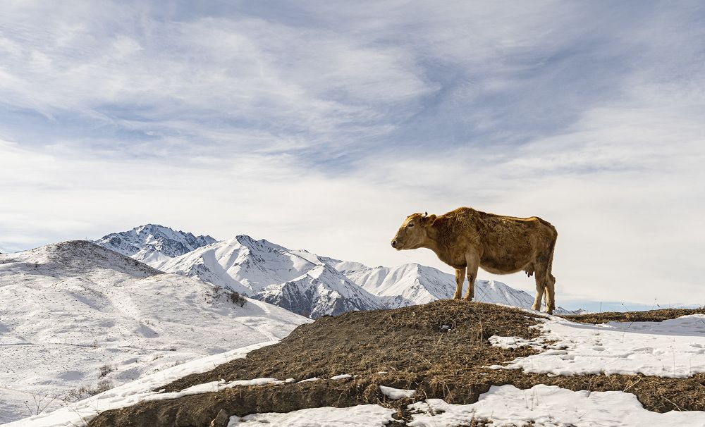 Photograph by Павел