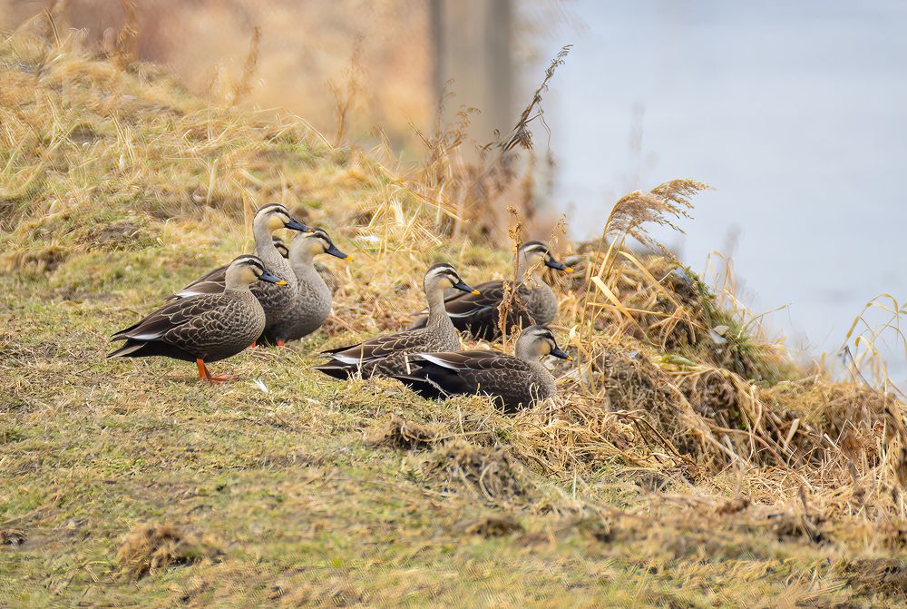 Photograph by Myunggyu Bae