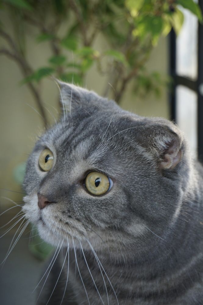 Photograph by Халуторных Мария