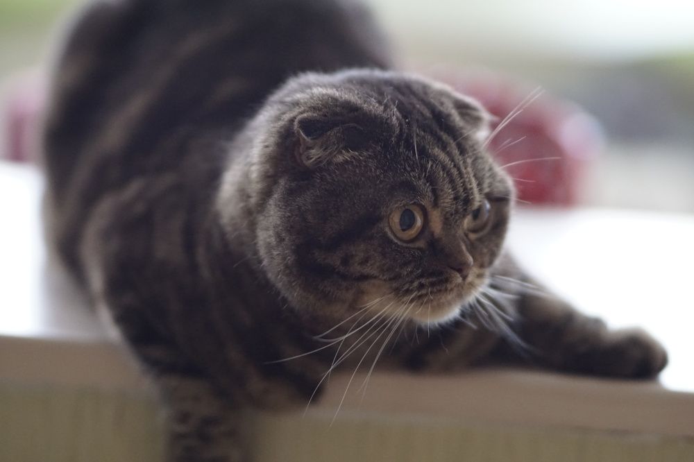 Photograph by Халуторных Мария