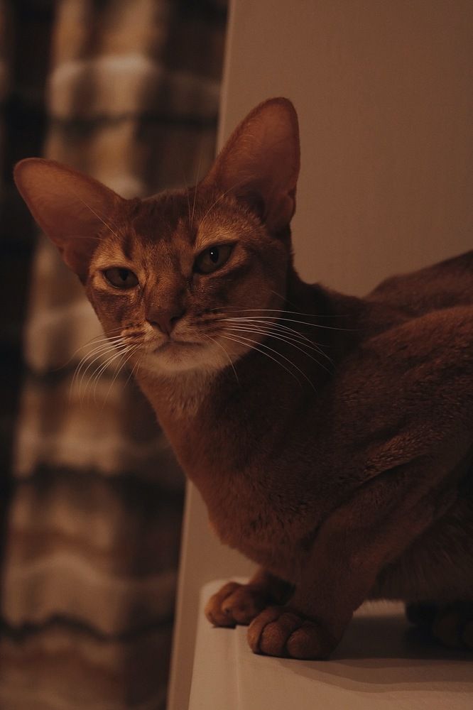 Photograph by Роза Арутюнян