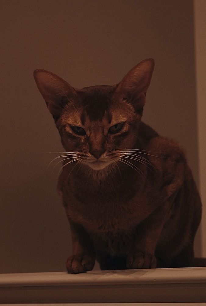 Photograph by Роза Арутюнян