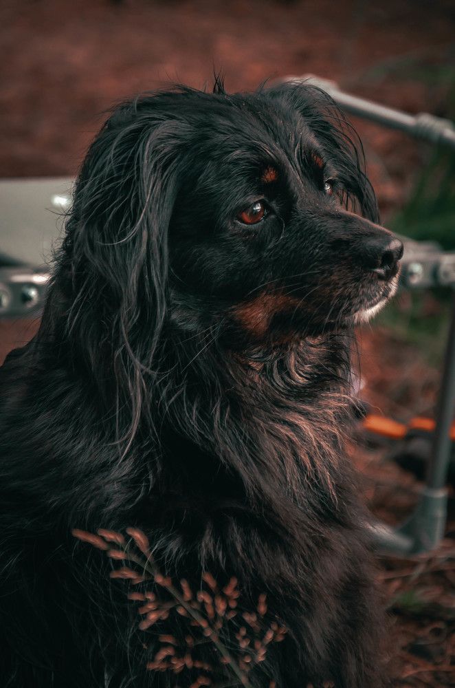 Я волнуюсь за тебя, человек