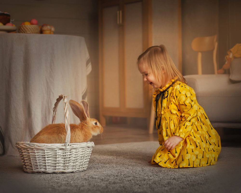 Фотография автора Борисова Анастасия