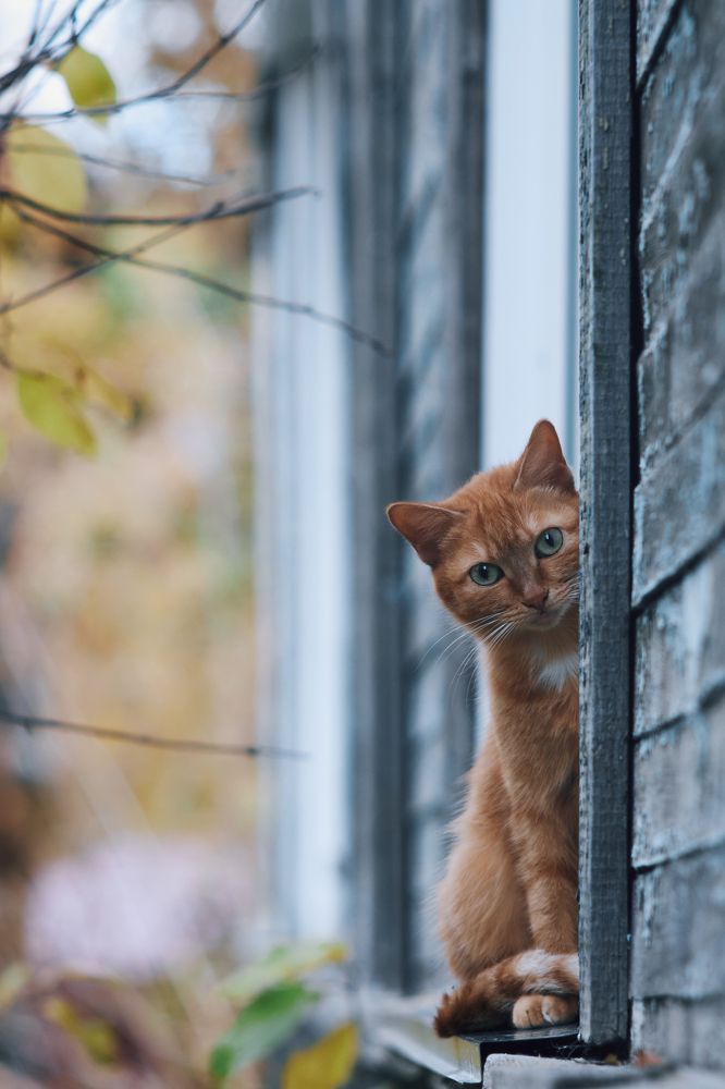 Photograph by Виктор Бабинцев