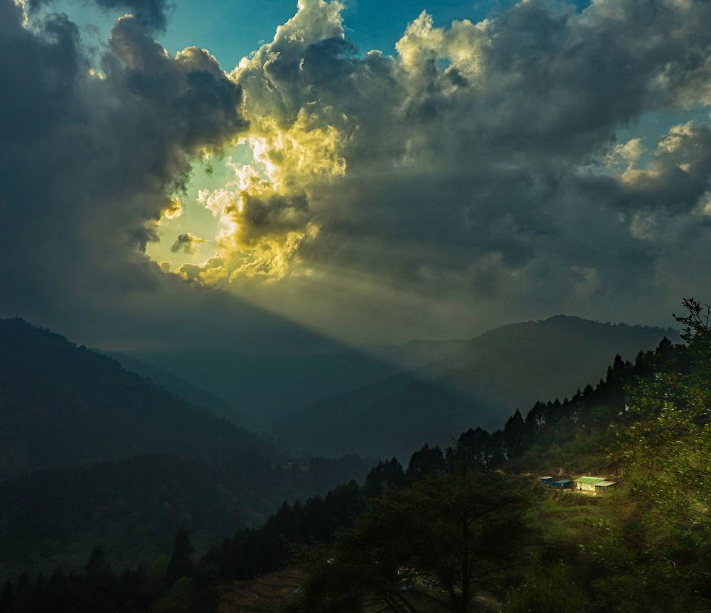 Photograph by Partho Kundu