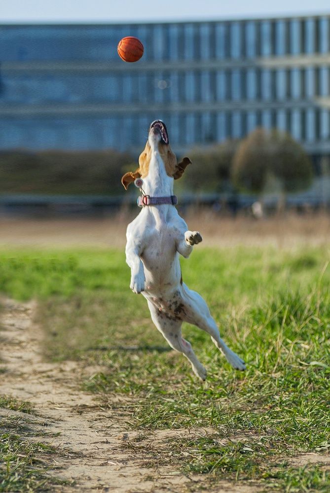 Photograph by Валерия Гарбуз