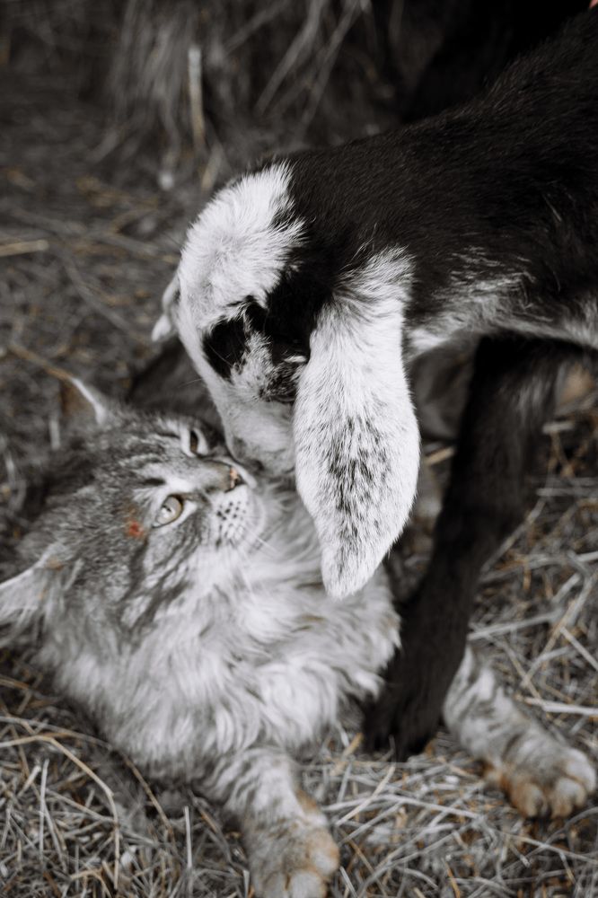 Photograph by Диана Семенова