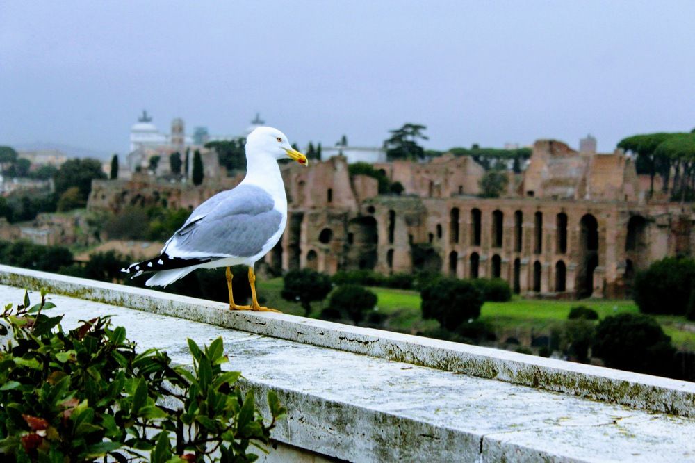 Photograph by Oleg Guchgeldiev