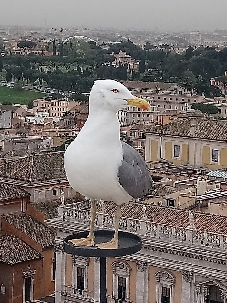 Photograph by Oleg Guchgeldiev