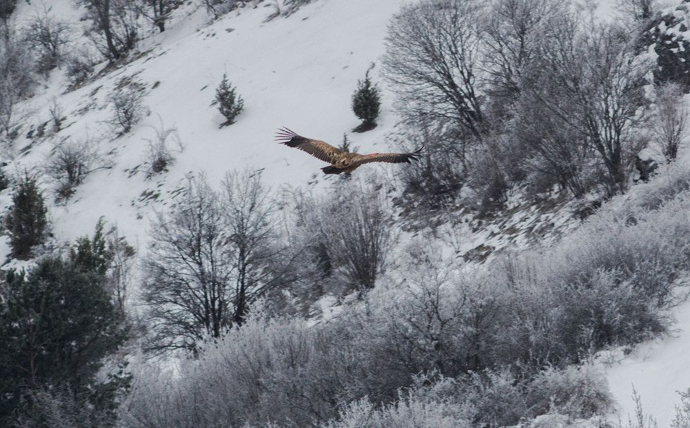 Photograph by Sreten Vitezović