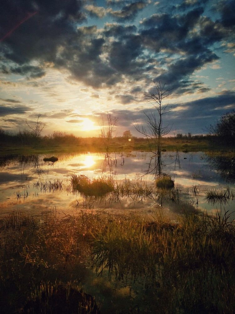 Photograph by Иван Полиненко