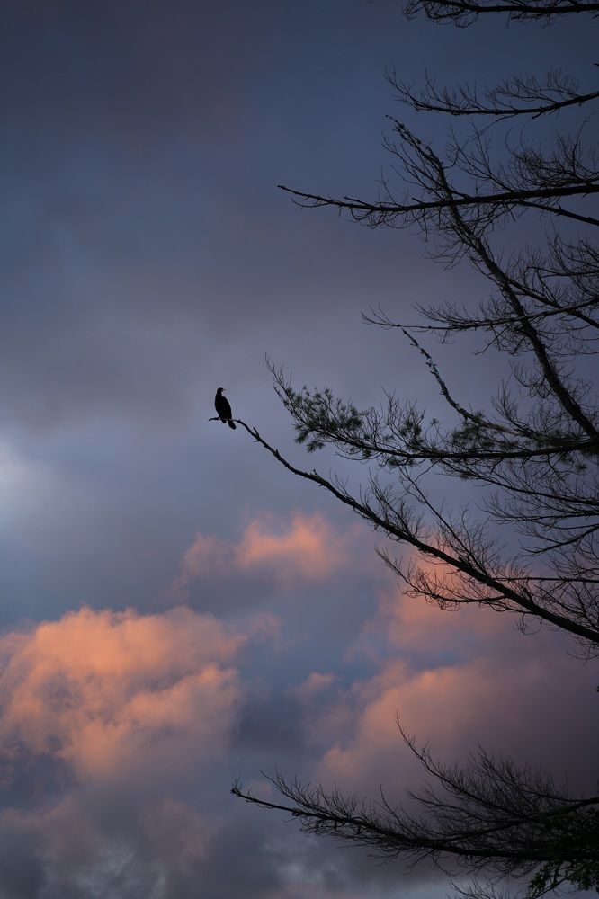 Photograph by Ekaterina Sukhanova