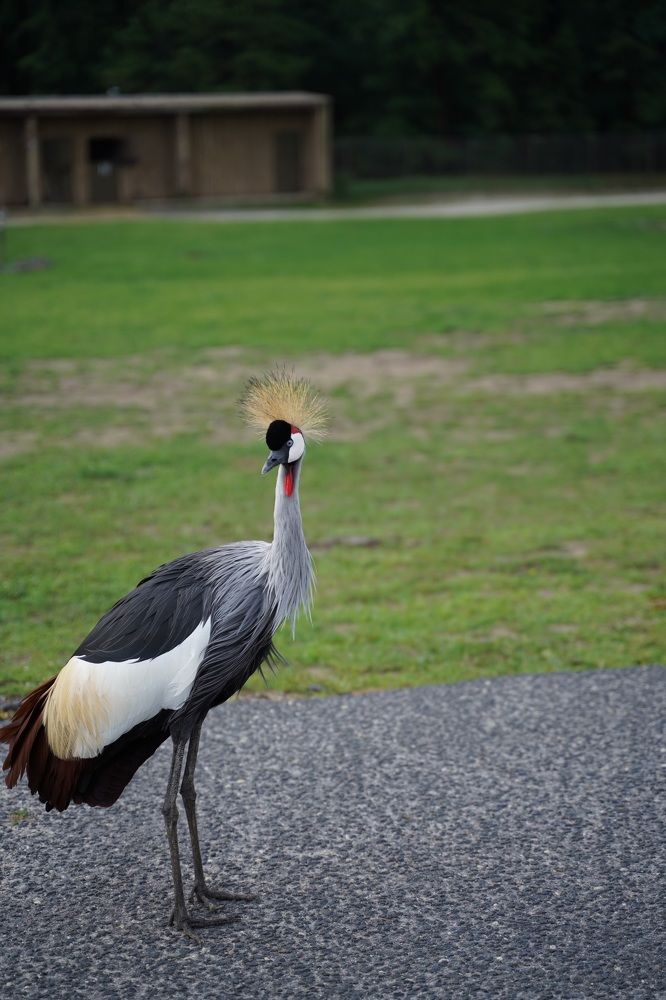 Photograph by Ekaterina Sukhanova