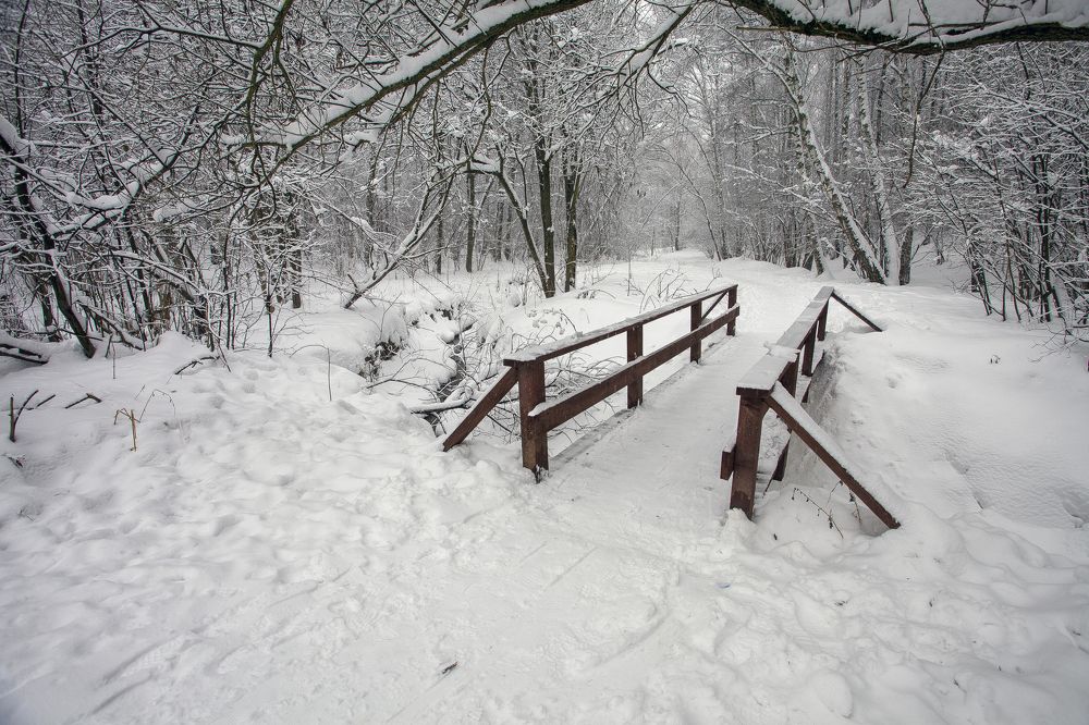 Photograph by Сергей Старостин