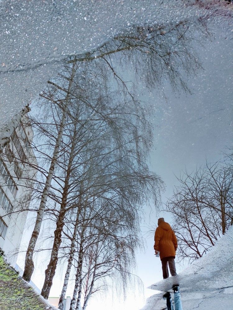 Photo #7529898
