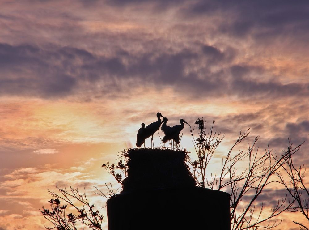 Photograph by Olga Asson