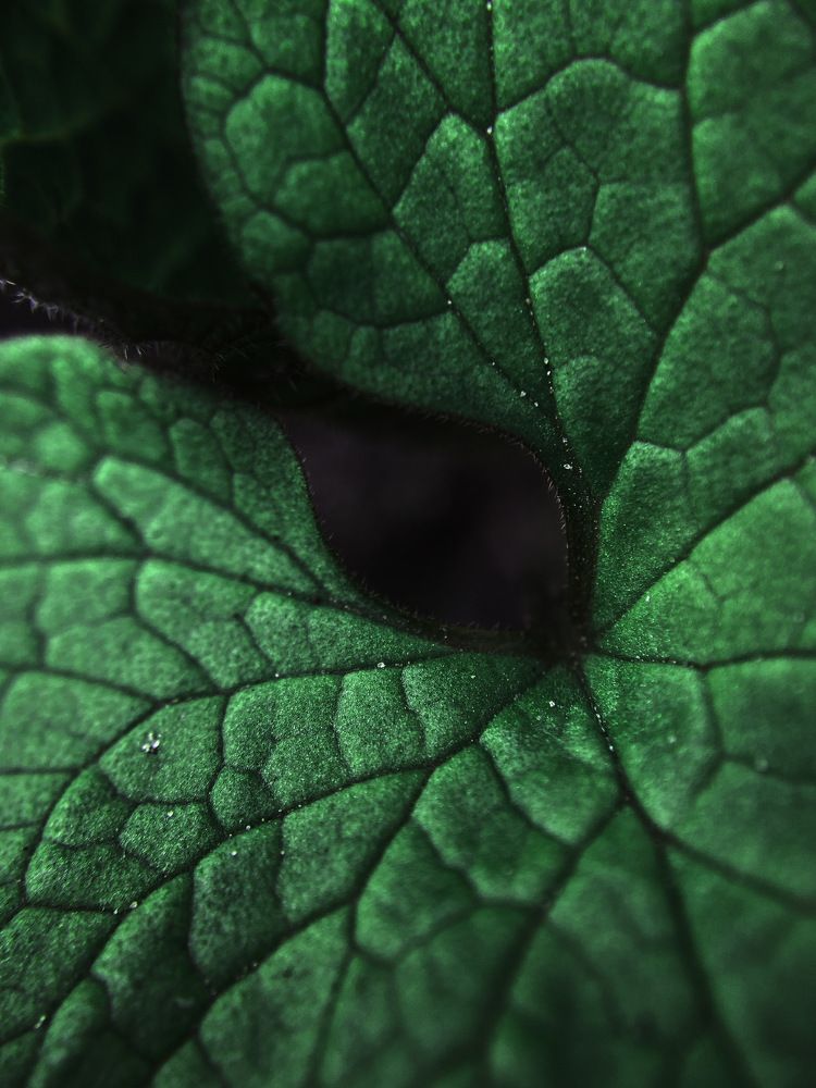 Photograph by Анна Бобкова