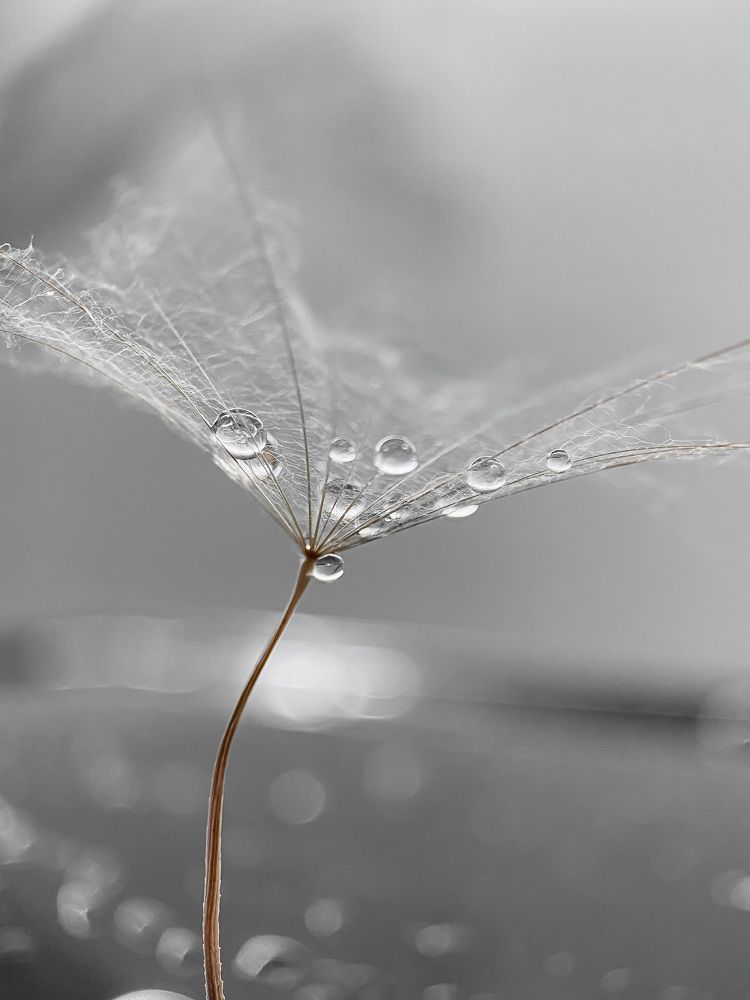 Photograph by Анна Бобкова